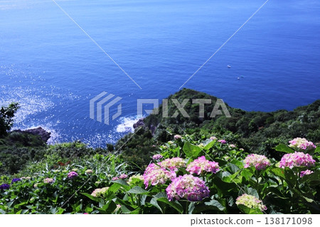A landscape with the sea and hydrangeas 138171098