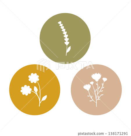 Three unique white flower silhouettes appear within separate colored circles, arranged against a white backdrop. The designs include lavender, small blossoms, and a wild thistle-like plant. Three unique white flower silhouettes appear within separate colored circles, arranged against a white backdrop. The designs include lavender, small blossoms, and a wild thistle-like plant. 138171291