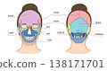 Illustrations and names of the front and back skulls of Asian women's faces. 138171701