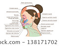 Diagram and names of facial muscles of an Asian woman looking to the side. 138171702