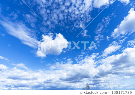 藍天，白雲和樹林 138171789