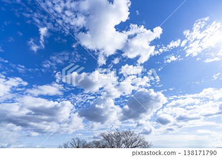 藍天,白雲和樹林 藍天,白雲和樹林 138171790