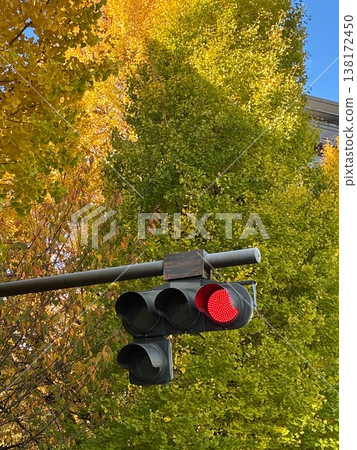 以 1:1 放大倍率觀察紅光 138172450