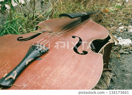 A discarded broken stringed instrument A discarded broken stringed instrument 138173681