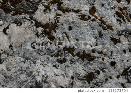 Rock Surface with Moss Patches Natural Abstract Texture 138173704