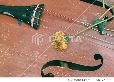 A scene of stringed instruments and yellow dahlia flowers. A scene of stringed instruments and yellow dahlia flowers. 138173842