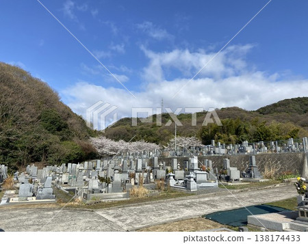 Spring scenery and cherry blossom trees at Yamate Cemetery in Fukuyama City, Hiroshima Prefecture Spring scenery and cherry blossom trees at Yamate Cemetery in Fukuyama City, Hiroshima Prefecture 138174433