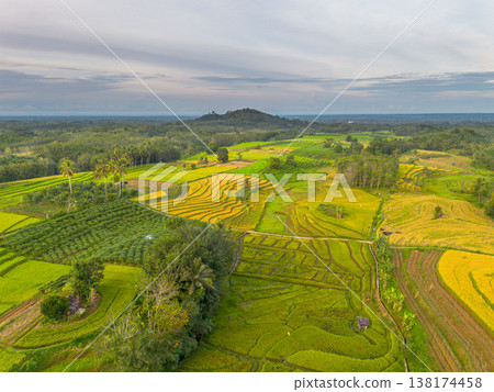Beautiful morning view in Indonesia, panoramic landscape of rice fields with mountain ranges and clear sky Beautiful morning view in Indonesia, panoramic landscape of rice fields with mountain ranges and clear sky 138174458