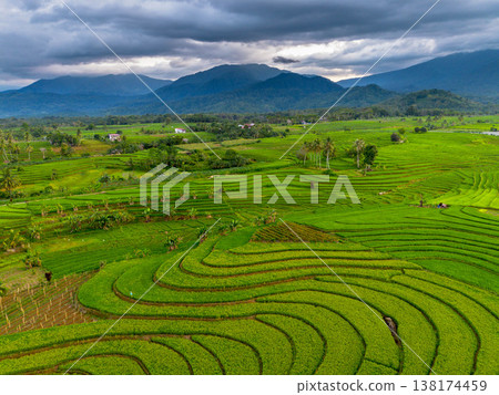 Beautiful morning view in Indonesia, panoramic landscape of rice fields with mountain ranges and clear sky 138174459