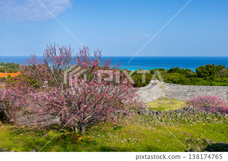 從沖繩縣國頭郡今泊今泊今泊今泊今泊今泊今泊今泊今泊今泊今泊今泊今泊今泊今泊， ... 138174765
