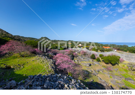 從沖繩縣國頭郡今泊今泊今泊今泊今泊今泊今泊今泊今泊今泊今泊今泊今泊今泊今泊, ... 從沖繩縣國頭郡今泊今泊今泊今泊今泊今泊今泊今泊今泊今泊今泊今泊今泊今泊今泊, ... 138174770