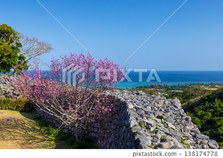 從沖繩縣國頭郡今泊今泊今泊今泊今泊今泊今泊今泊今泊今泊今泊今泊今泊今泊今泊, ... 從沖繩縣國頭郡今泊今泊今泊今泊今泊今泊今泊今泊今泊今泊今泊今泊今泊今泊今泊, ... 138174778
