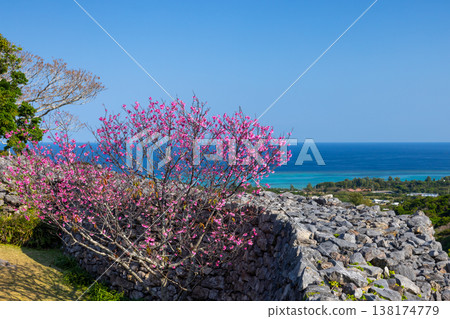 從沖繩縣國頭郡今泊今泊今泊今泊今泊今泊今泊今泊今泊今泊今泊今泊今泊今泊今泊, ... 從沖繩縣國頭郡今泊今泊今泊今泊今泊今泊今泊今泊今泊今泊今泊今泊今泊今泊今泊, ... 138174779