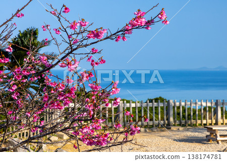 從沖繩縣國頭郡今泊今泊今泊今泊今泊今泊今泊今泊今泊今泊今泊今泊今泊今泊今泊, ... 從沖繩縣國頭郡今泊今泊今泊今泊今泊今泊今泊今泊今泊今泊今泊今泊今泊今泊今泊, ... 138174781