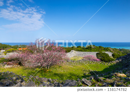 從沖繩縣國頭郡今泊今泊今泊今泊今泊今泊今泊今泊今泊今泊今泊今泊今泊今泊今泊, ... 從沖繩縣國頭郡今泊今泊今泊今泊今泊今泊今泊今泊今泊今泊今泊今泊今泊今泊今泊, ... 138174782