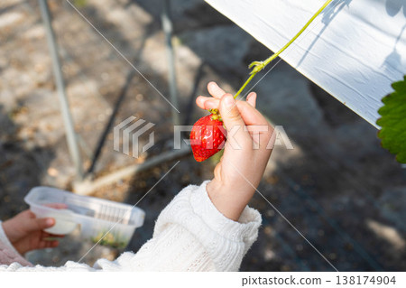 一張照片，照片中有個孩子正在參加採草莓的活動，他的手正在採草莓。 138174904