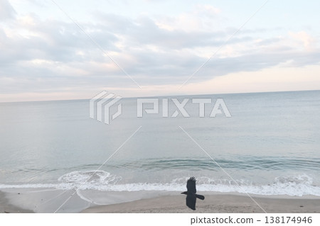 The silhouette of a bird flying over the seashore, gentle waves, and a vast sky. The silhouette of a bird flying over the seashore, gentle waves, and a vast sky. 138174946