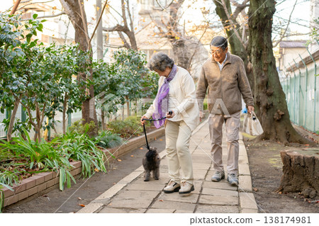 Senior couple walking with dog 138174981