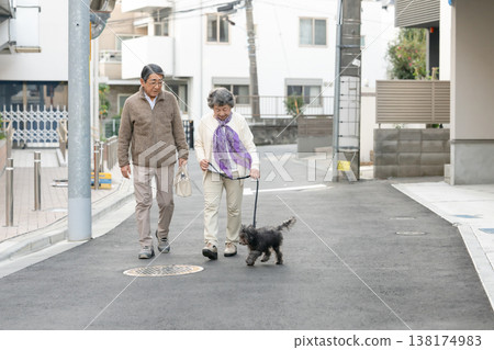 Senior couple walking with dog Senior couple walking with dog 138174983