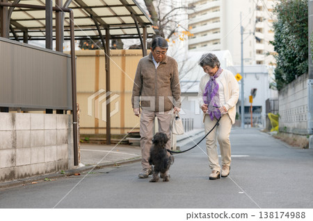 Senior couple walking with dog 138174988