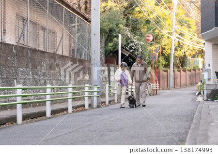 Senior couple walking with dog Senior couple walking with dog 138174993
