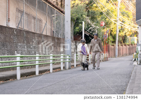 Senior couple walking with dog Senior couple walking with dog 138174994