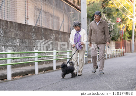 Senior couple walking with dog 138174998