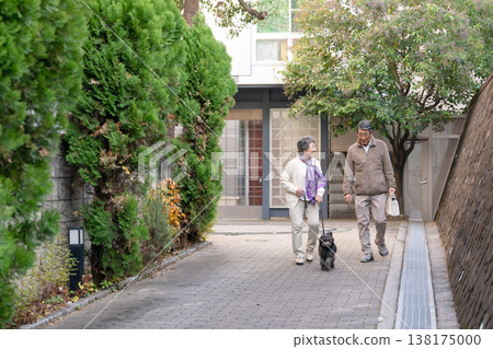 Senior couple walking with dog 138175000
