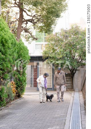 Senior couple walking with dog 138175003