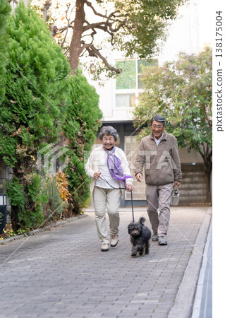Senior couple walking with dog 138175004