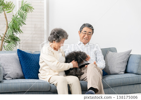 Senior couple spending time with their dog in the living room 138175006