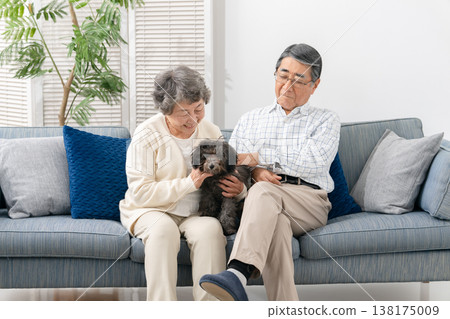 一對老年夫婦在客廳和他們的狗玩耍 138175009