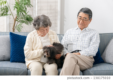 一對老年夫婦在客廳和他們的狗玩耍 138175010