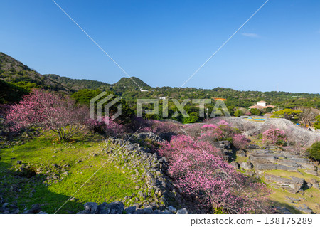沖繩縣國頭郡今泊市今泊，今泊市今泊市今泊市， ... 138175289