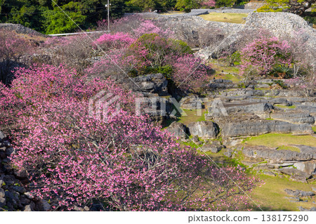 沖繩縣國頭郡今泊市今泊，今泊市今泊市今泊市， ... 138175290