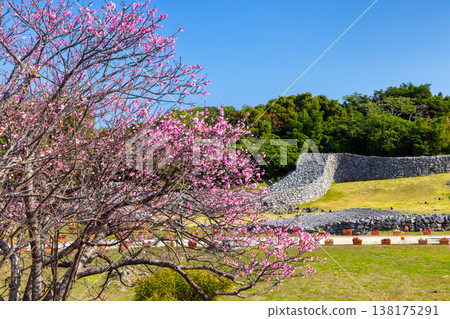 沖繩縣國頭郡今泊市今泊,今泊市今泊市今泊市, ... 沖繩縣國頭郡今泊市今泊,今泊市今泊市今泊市, ... 138175291