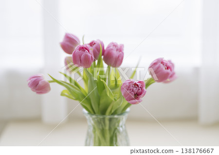 Pink tulips in a vase Pink tulips in a vase 138176667
