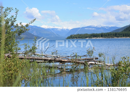 Fallen Log At The Edge Of A Lake Fallen Log At The Edge Of A Lake 138176695