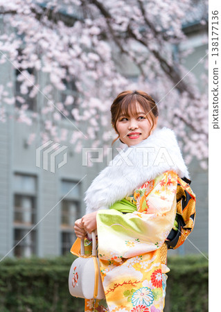 Japanese women celebrating their coming of age, wearing furisode kimonos under cherry trees. 138177136