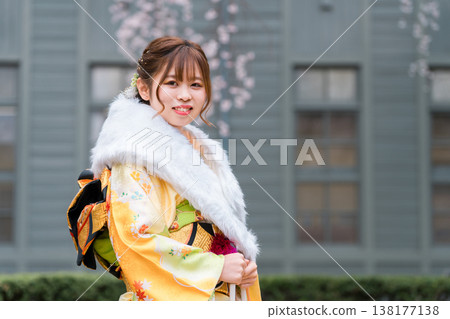 Japanese women celebrating their coming of age, wearing furisode kimonos under cherry trees. Japanese women celebrating their coming of age, wearing furisode kimonos under cherry trees. 138177138