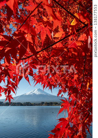 Red autumn leaves and Mount Fuji (vertical view) Red autumn leaves and Mount Fuji (vertical view) 138177553