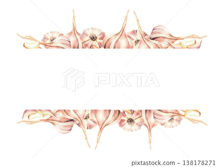 Watercolor Garlic horizontal banner. Plants stem, bulb and cloves. Realistic fragrant vegetables hand drawn illustration isolated on white. Culinary herb, seasoning for food rectangular frame template 138178271