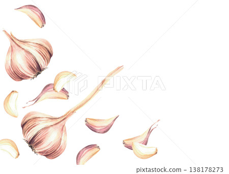 Watercolor Garlic whole bulb and cloves rectangular frame. Dynamic motion with fragrant vegetables, kitchen spices. Hand drawn illustration on isolated white background. Culinary herb, seasoning label 138178273