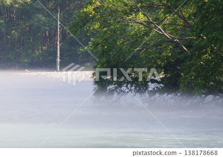長野縣松本市上高地初夏時節，山上殘留的積雪與翠綠的植物交相輝映，令人賞心悅目。 138178668