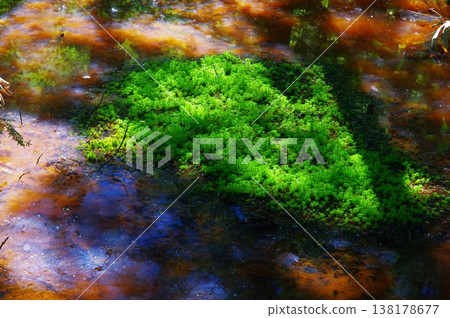 長野縣松本市上高地初夏時節，山上殘留的積雪與翠綠的植物交相輝映，令人賞心悅目。 138178677