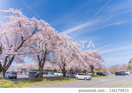 青森縣八戶市八戶公園和兒童樂園的春日景色 青森縣八戶市八戶公園和兒童樂園的春日景色 138179015