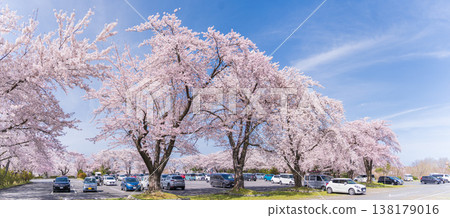 青森縣八戶市八戶公園和兒童樂園的春日景色 138179016