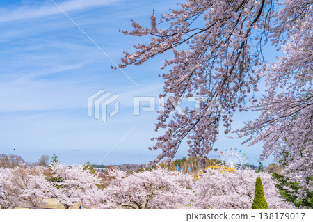 青森縣八戶市八戶公園和兒童樂園的春日景色 138179017