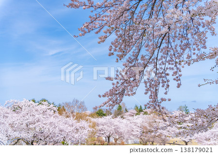 青森縣八戶市八戶公園和兒童樂園的春日景色 青森縣八戶市八戶公園和兒童樂園的春日景色 138179021