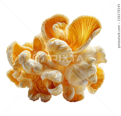 Closeup popcorn kernel piece in macro shot isolated on white background, representing snack food concept and simplicity idea 138179145